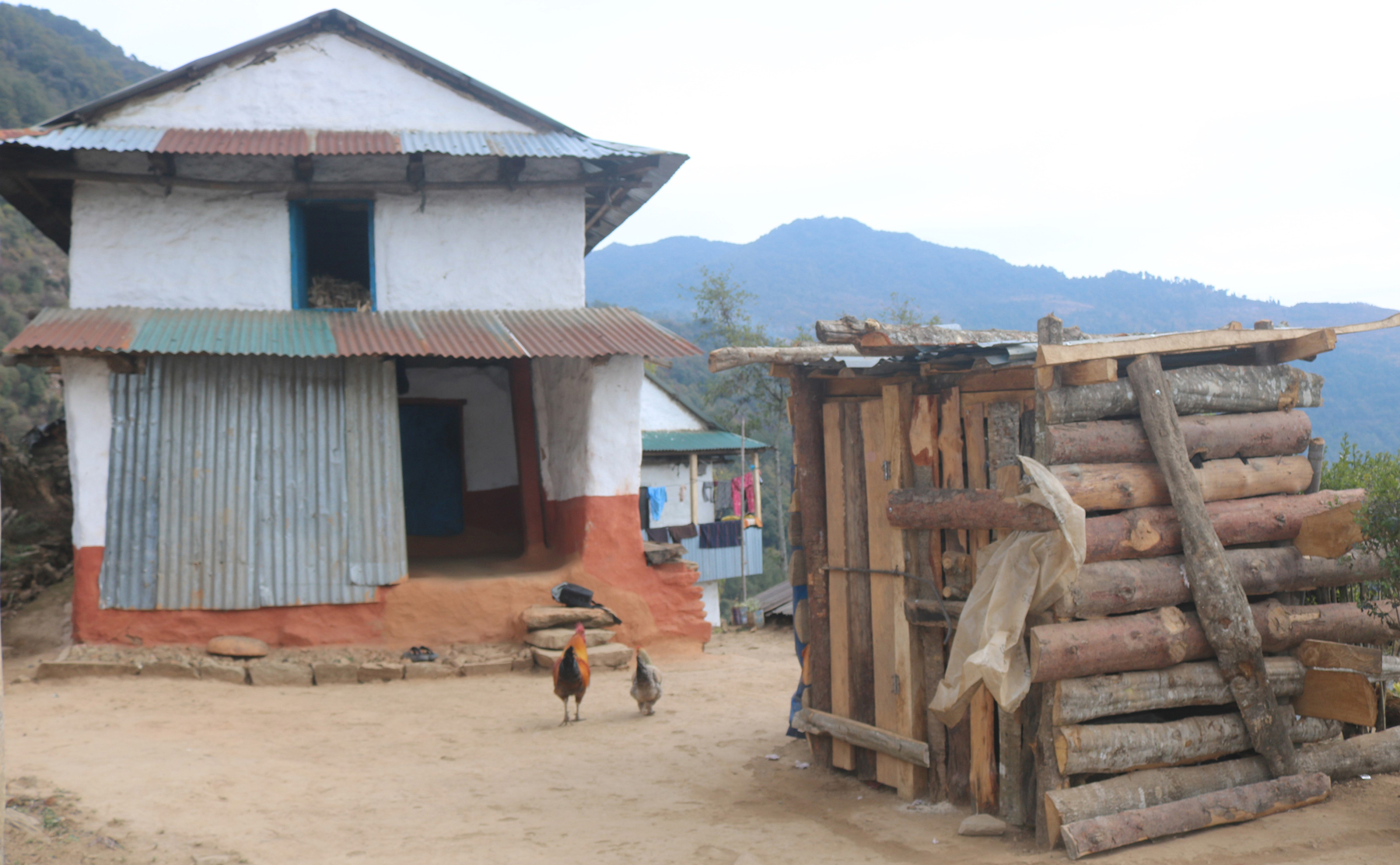 रोगले ग्रसित फुरदिकुलाई राखिएको खोर